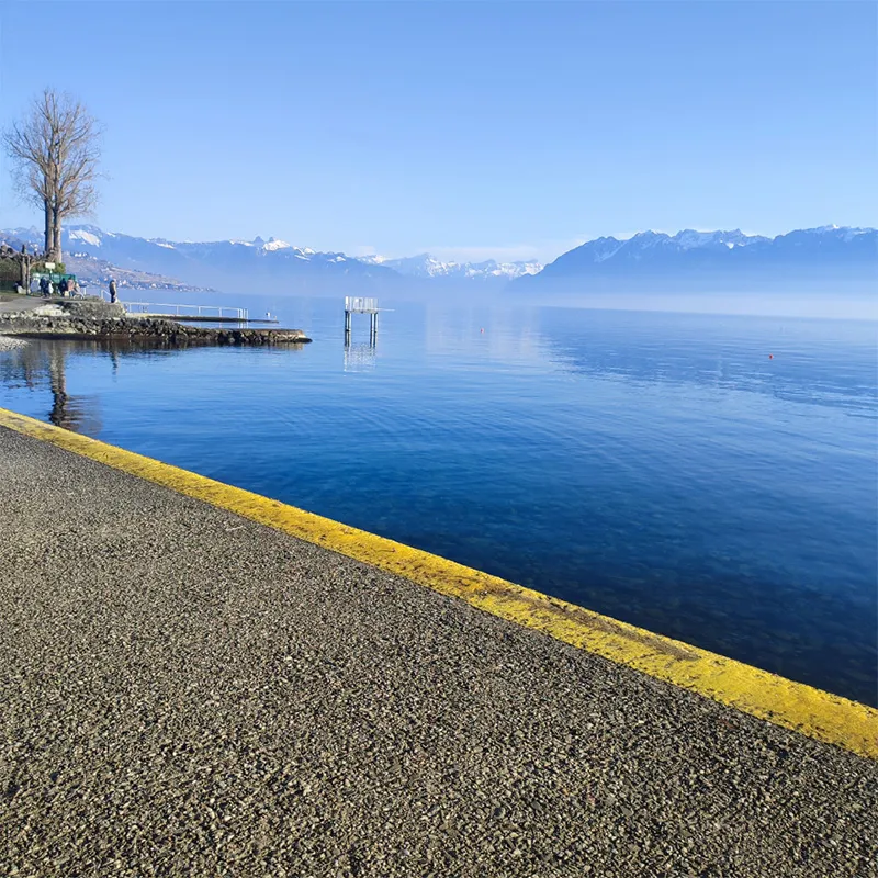 Livraison à Lausanne au lac Léman